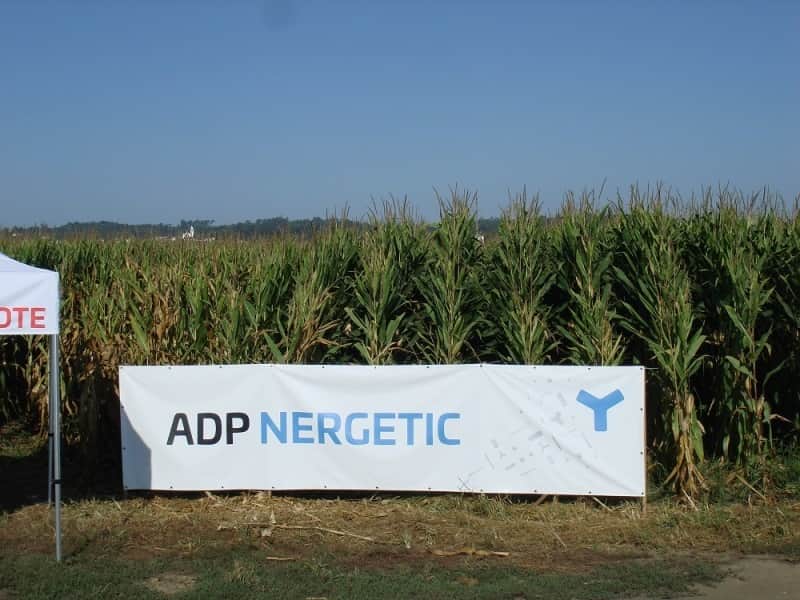 adp
